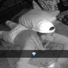djdet316